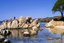 小基(jī)恩暗示愿意留隊(duì)：佛罗倫(lún)萨一(yī)直帮助我，将为佛罗倫(lún)萨竭尽全力